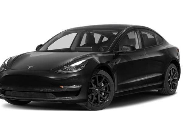 TESLA MODEL 3 2023 5YJ3E1EA3PF570236 image